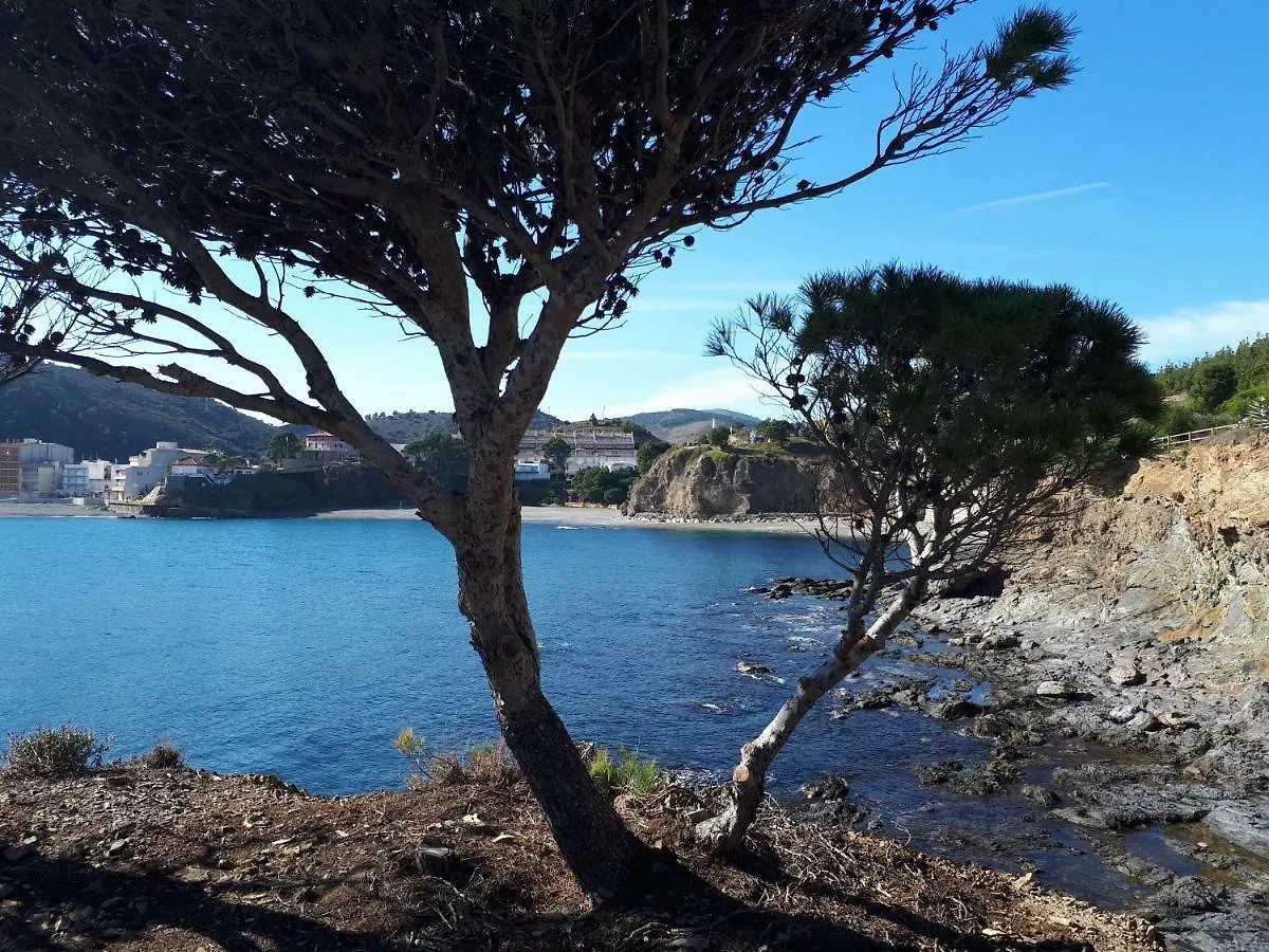 Holiday home Eurus Villa Colera Spain