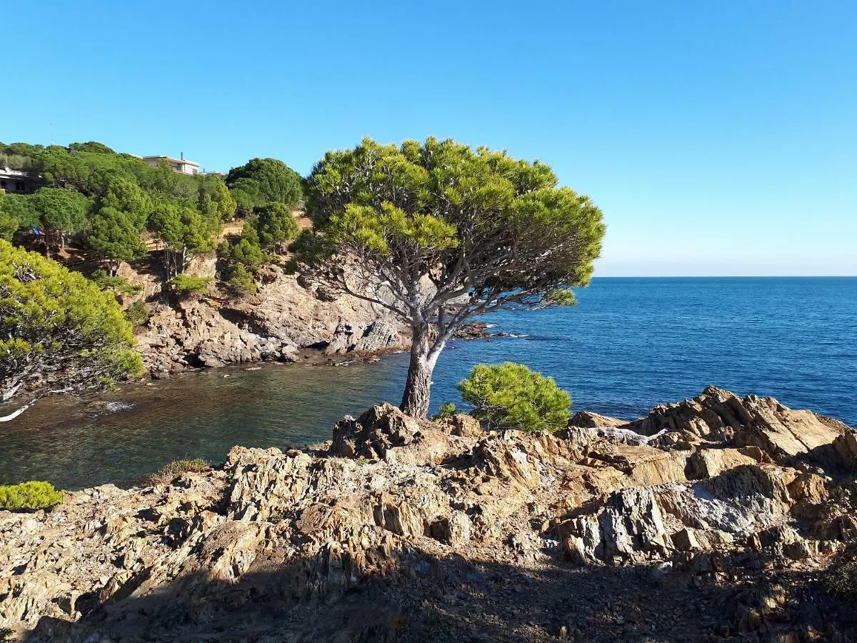 Villa Eurus Colera